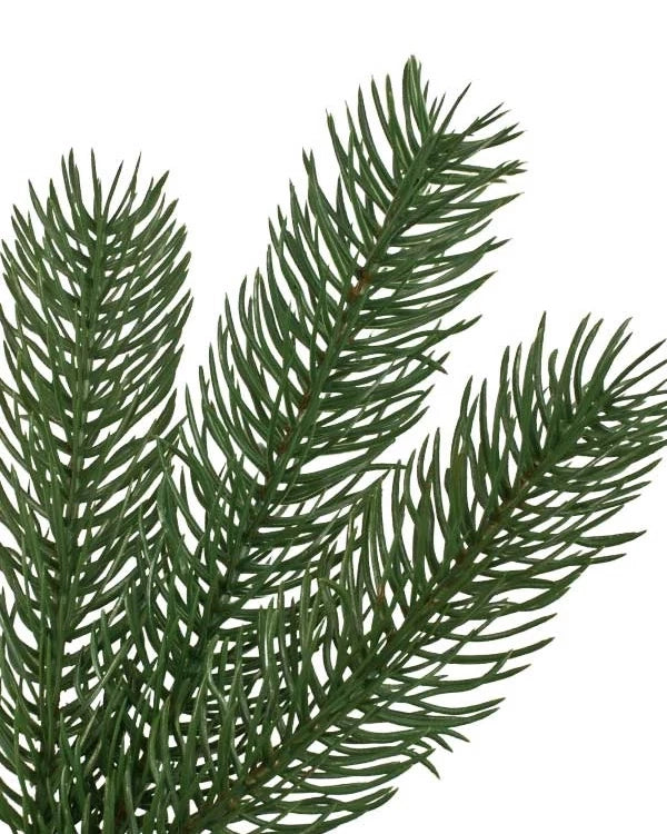 Árvore de Natal Pinheiro Woodland — Detalhe premium
