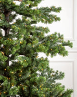 Árvore de Natal Pinheiro Yukon — Estrutura