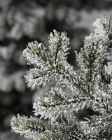 Árvore de Natal Pinheiro Yukon Nevado — Ambiente decorado