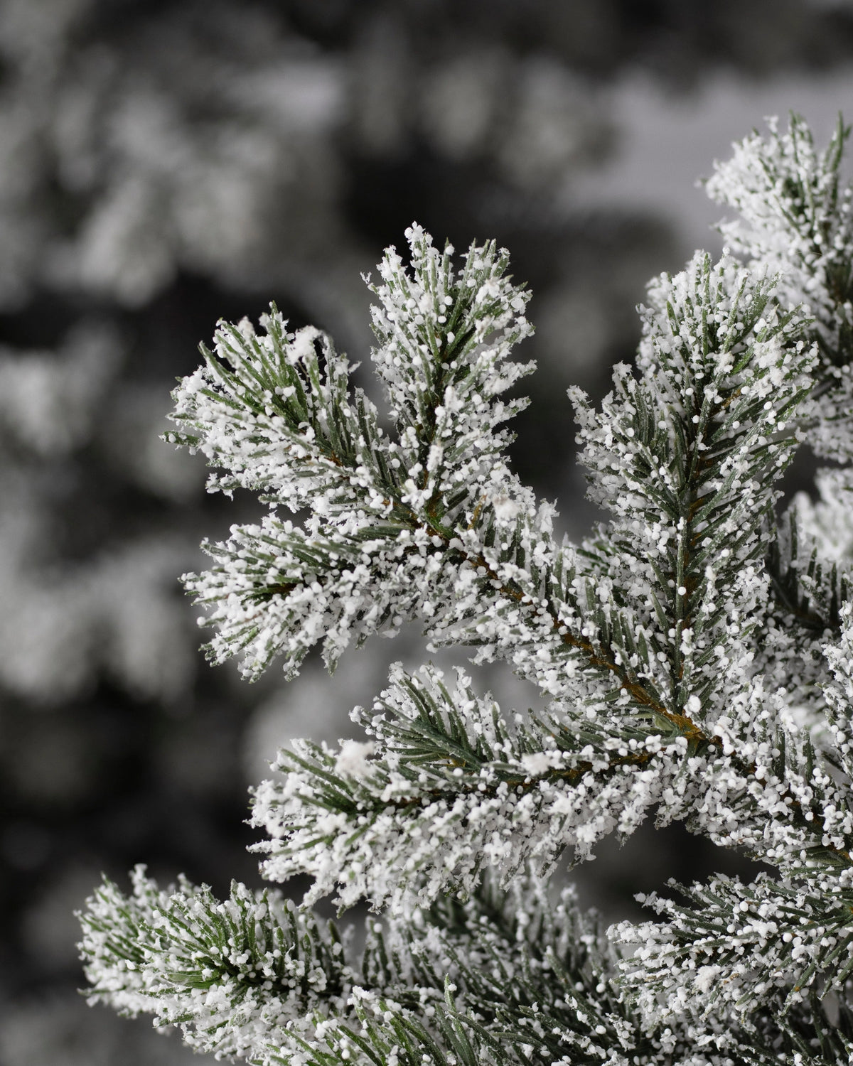 Árvore de Natal Pinheiro Yukon Nevado — Ambiente decorado